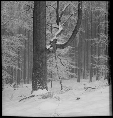 Oben liegt mehr Schnee