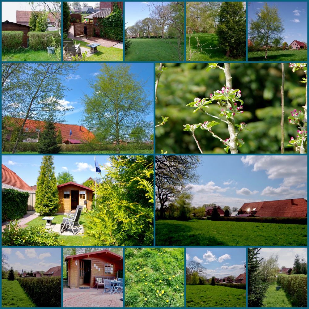 Oben links, die kleine Lücke... Foto & Bild outdoor, bäume, frühling