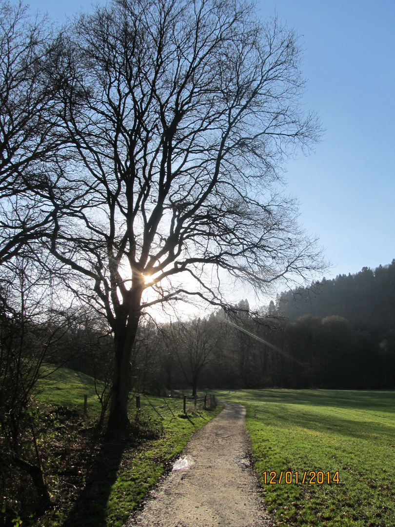 Oben rüden bei SG