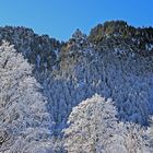 Oben sind bereits Plusgrade, unten ist's eiskalt