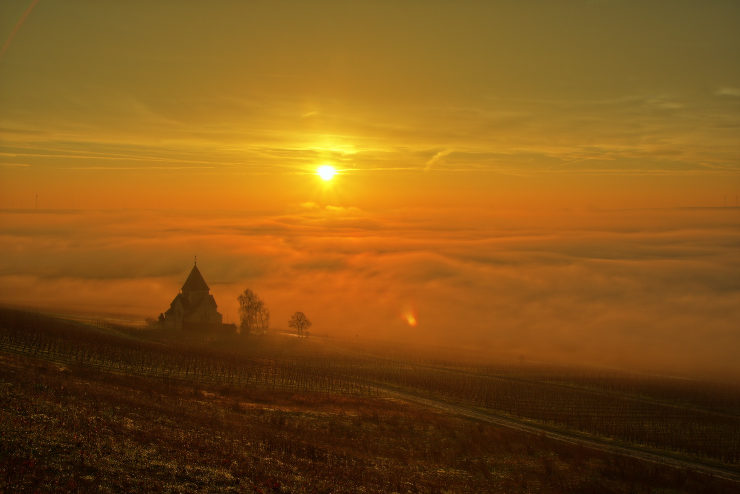 Oben Sonne - unten Nebel