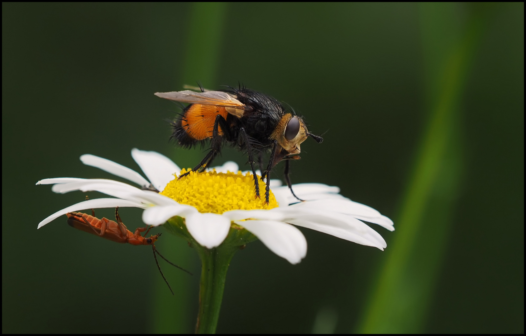 Oben und unten