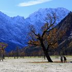 Oben und unten Winter, in der Mitte noch Herbst