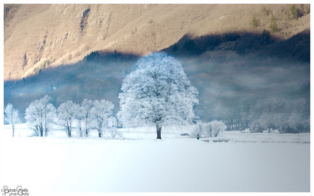 Oben warm..... unten Frost