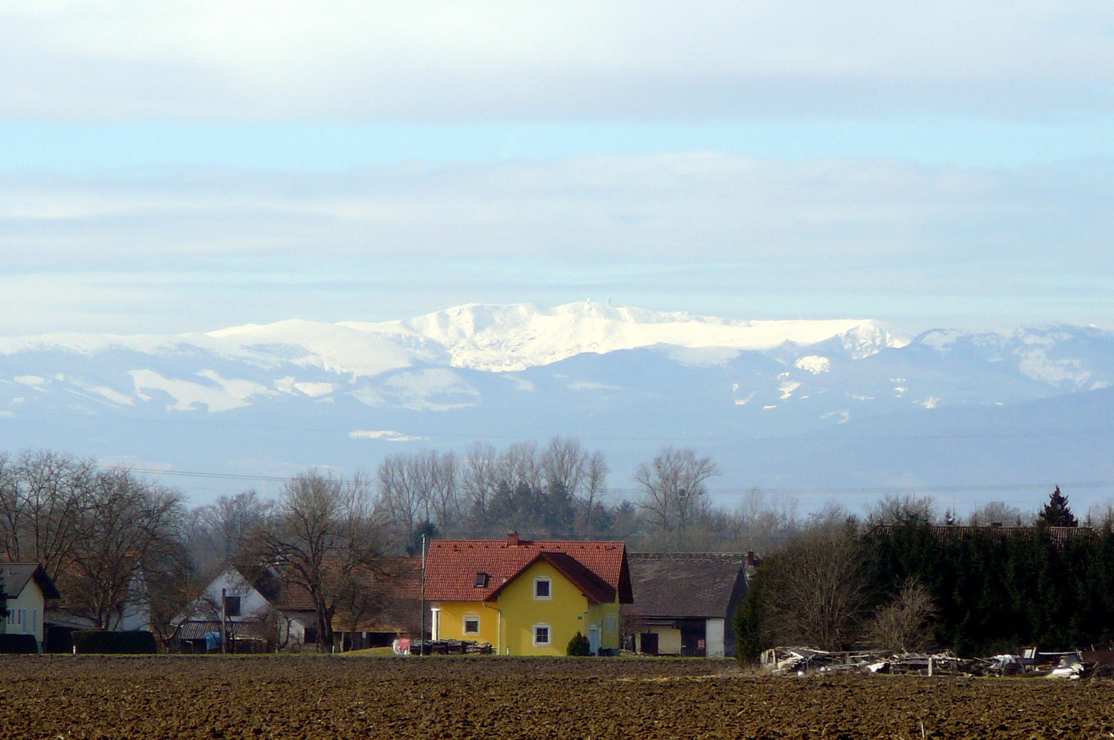 oben weiß, unten braun