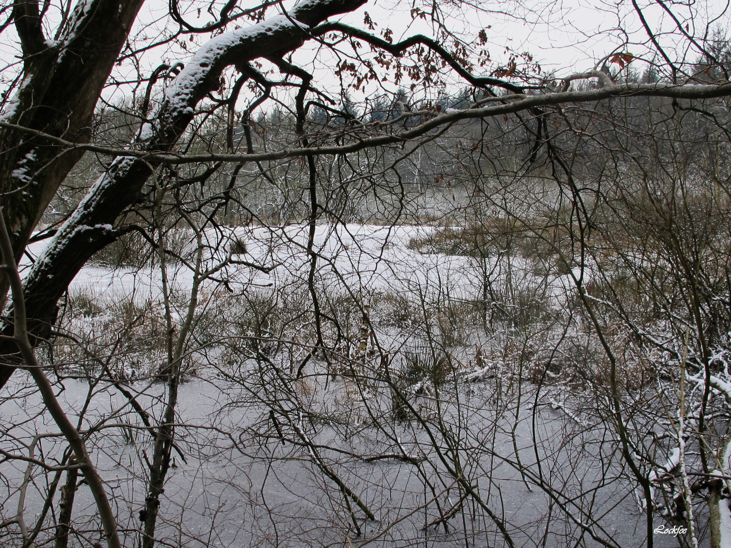 Obenstroher Mühlenteich