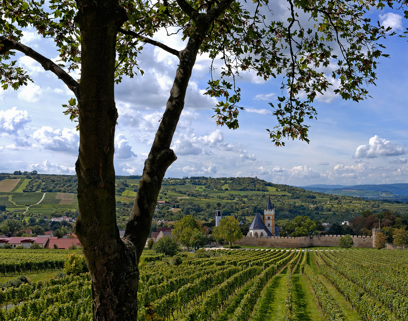 Ober-Ingelheim