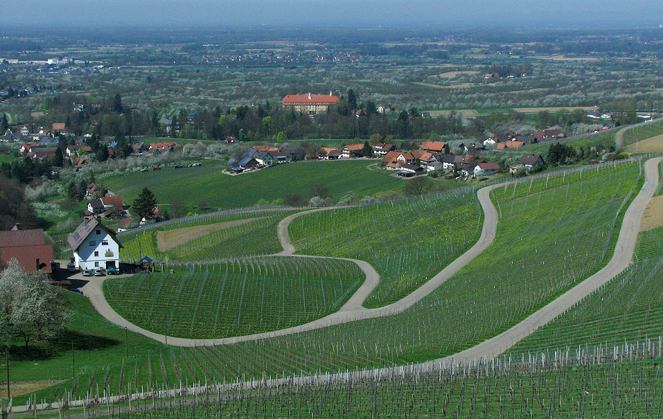 Ober-Sasbach mit Kloster Erlenbad