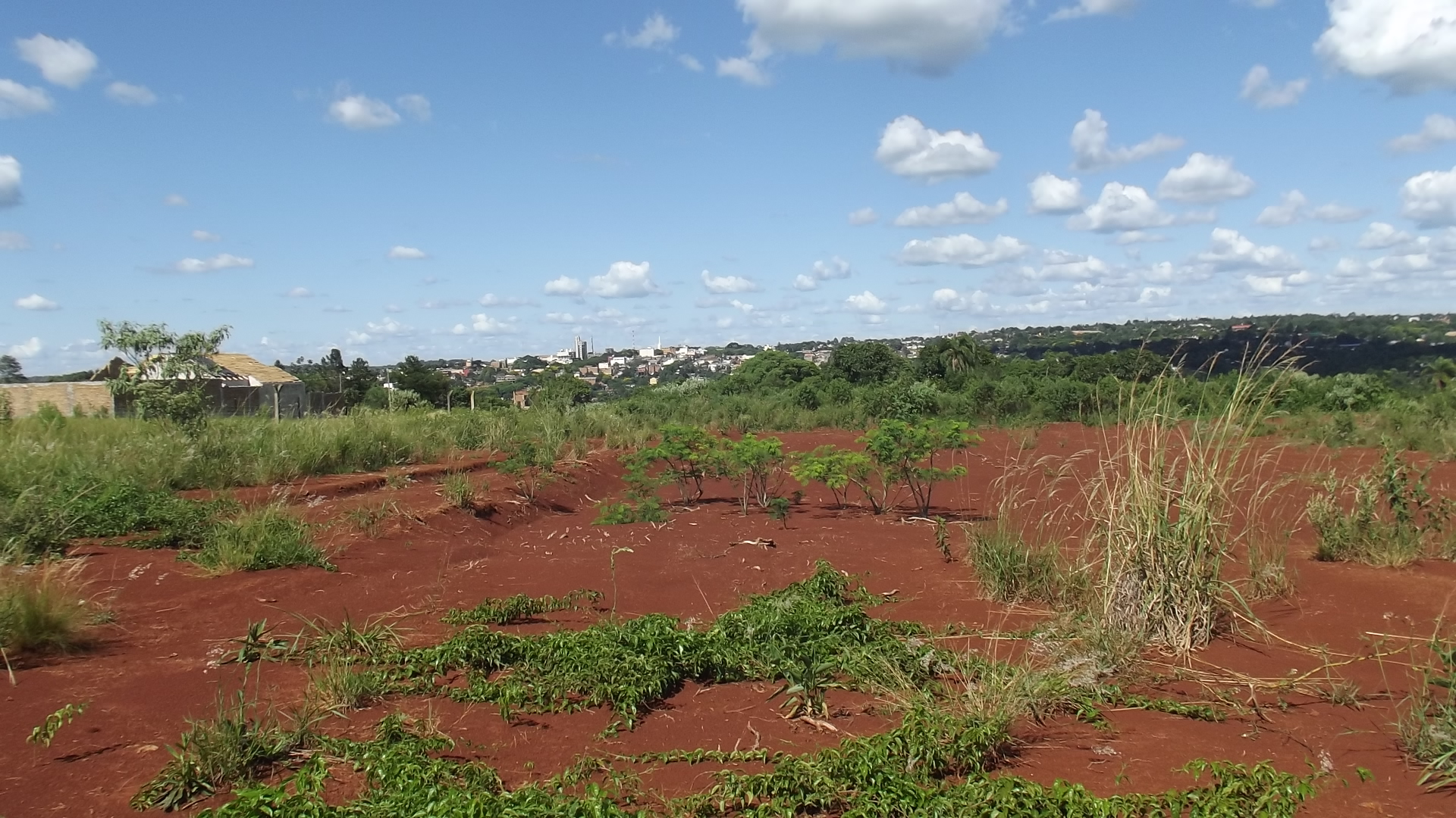 Oberá, Misiones, Argentina.