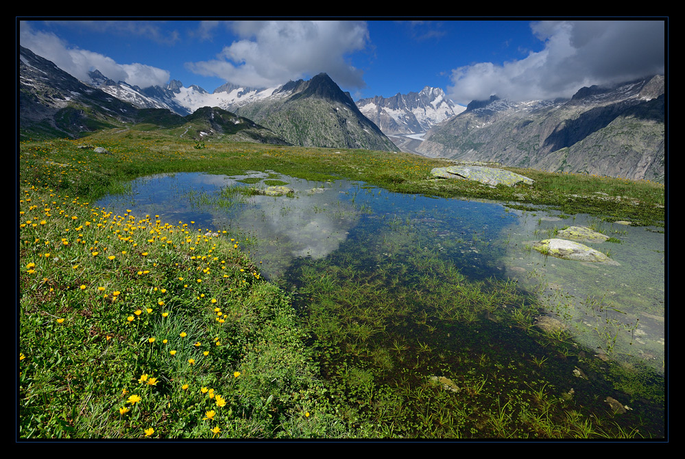 Oberaar