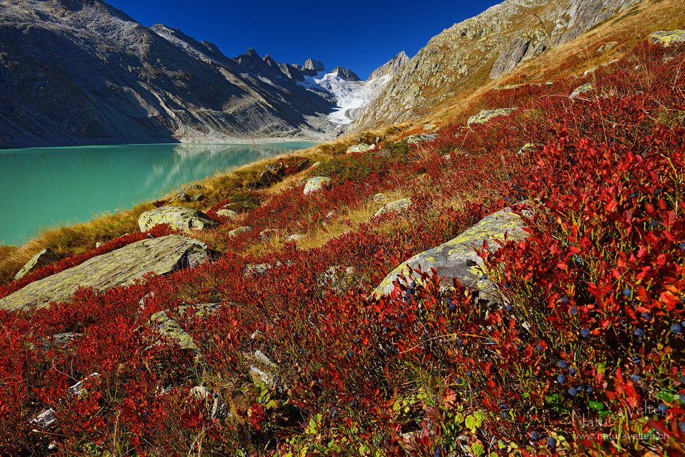 Oberaar Indian Summer