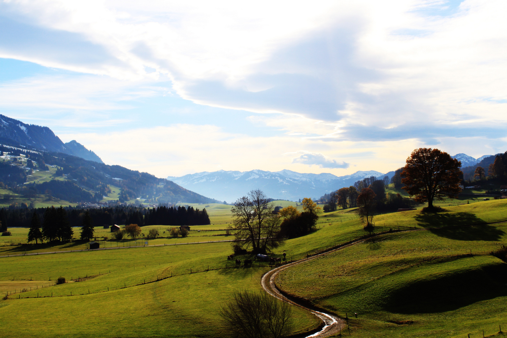 oberalgäu vorburg