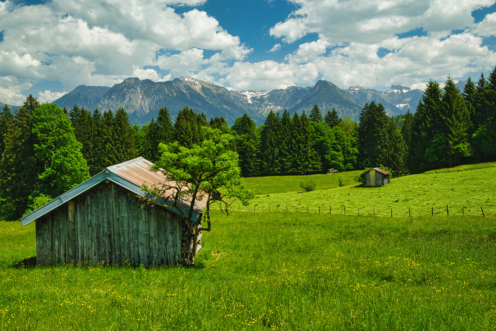 Oberallgäu 