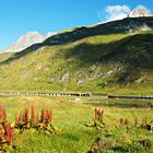 Oberalp (2033 m)...004