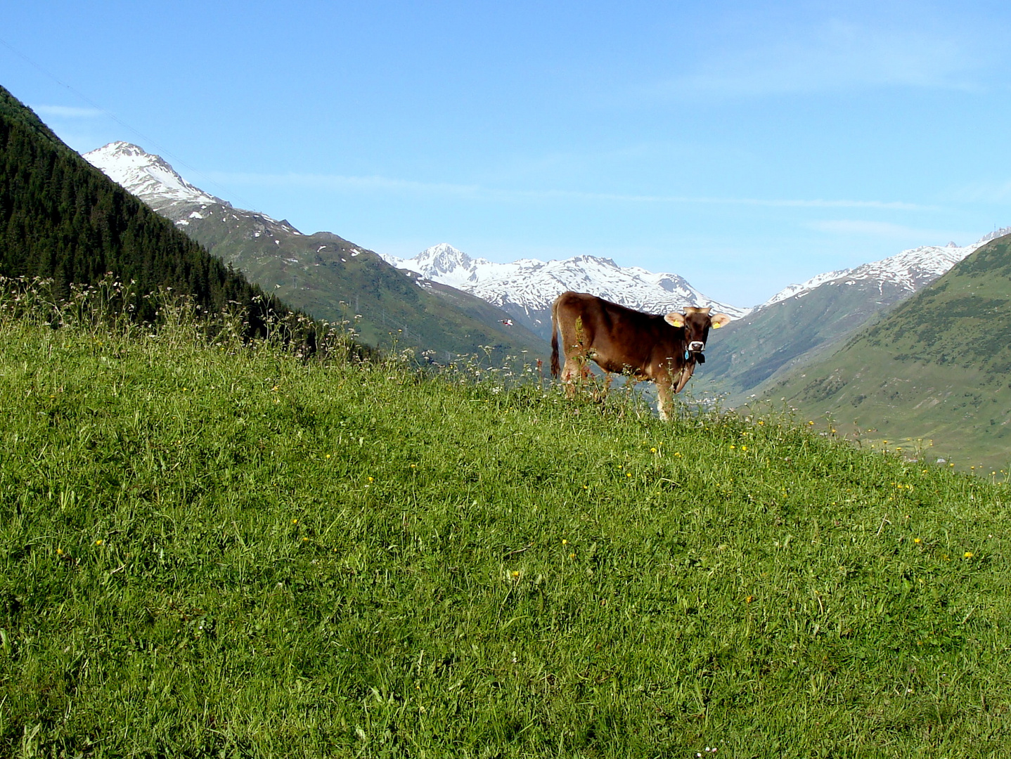 Oberalppass