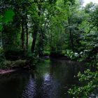 Oberalsterlauf in Poppenbüttel