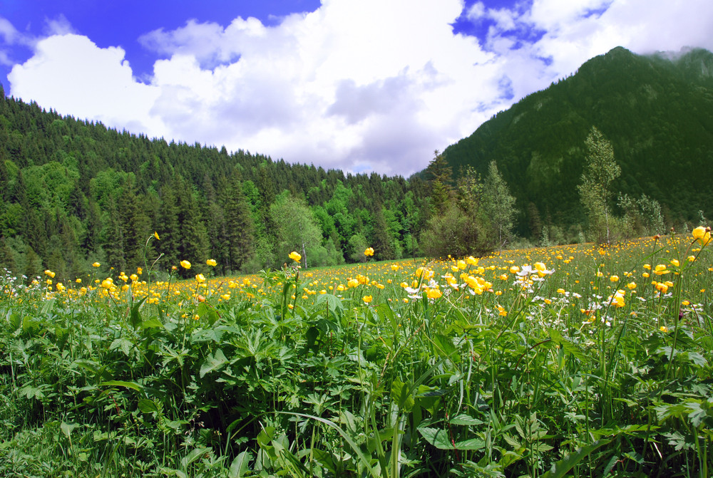 Oberammergau