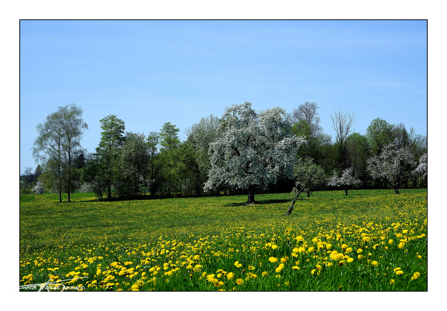 Oberandwil_180422