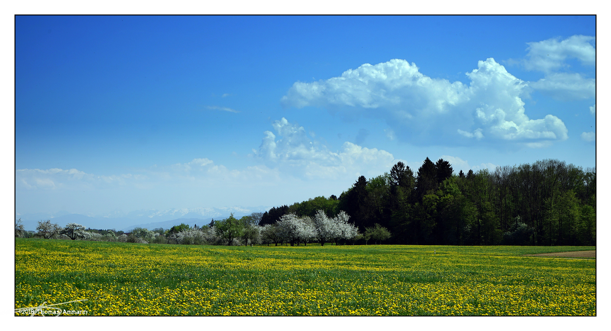 Oberandwil#4_180422