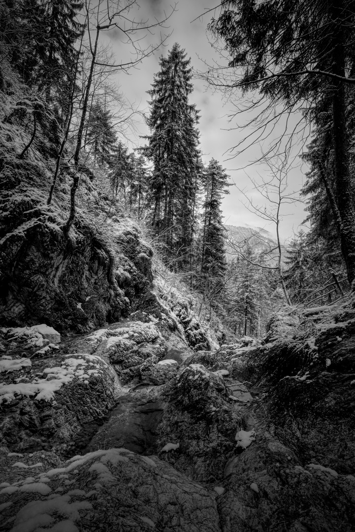 Oberauer Berge im Winter