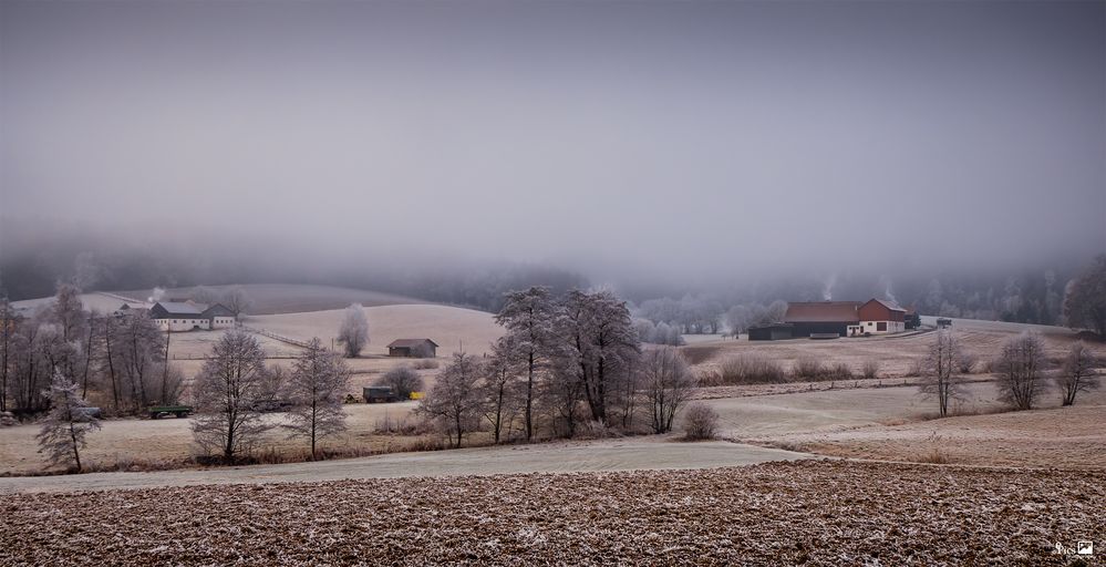 Oberauerbach Hinterland - Bayern648