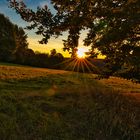 Oberbacher Sonnenuntergang