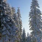 Oberbärenburg im Ost - Erzgebirge