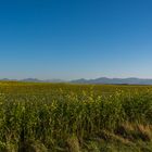 Oberbayerisches Voralpenland im Herbst