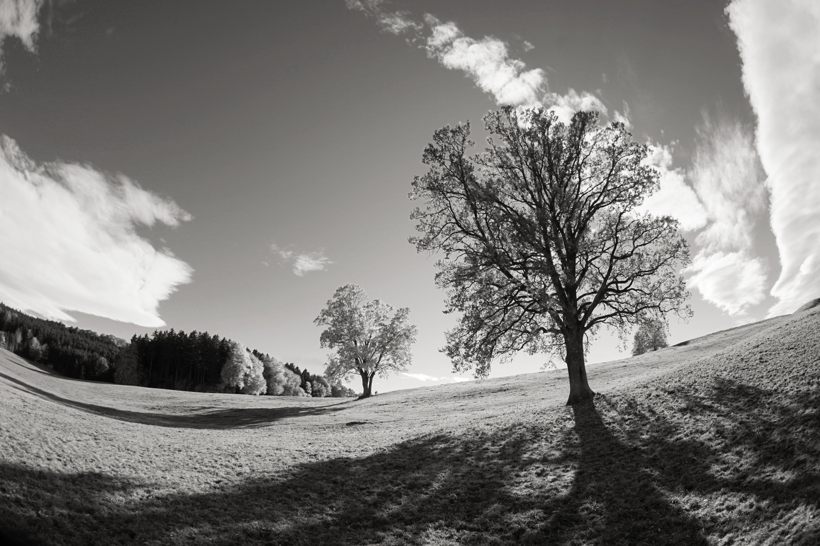 Oberbayern