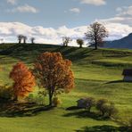 Oberbayern in Farbe und bunt