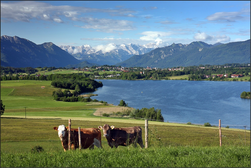 ~ Oberbayernpostkarte ~