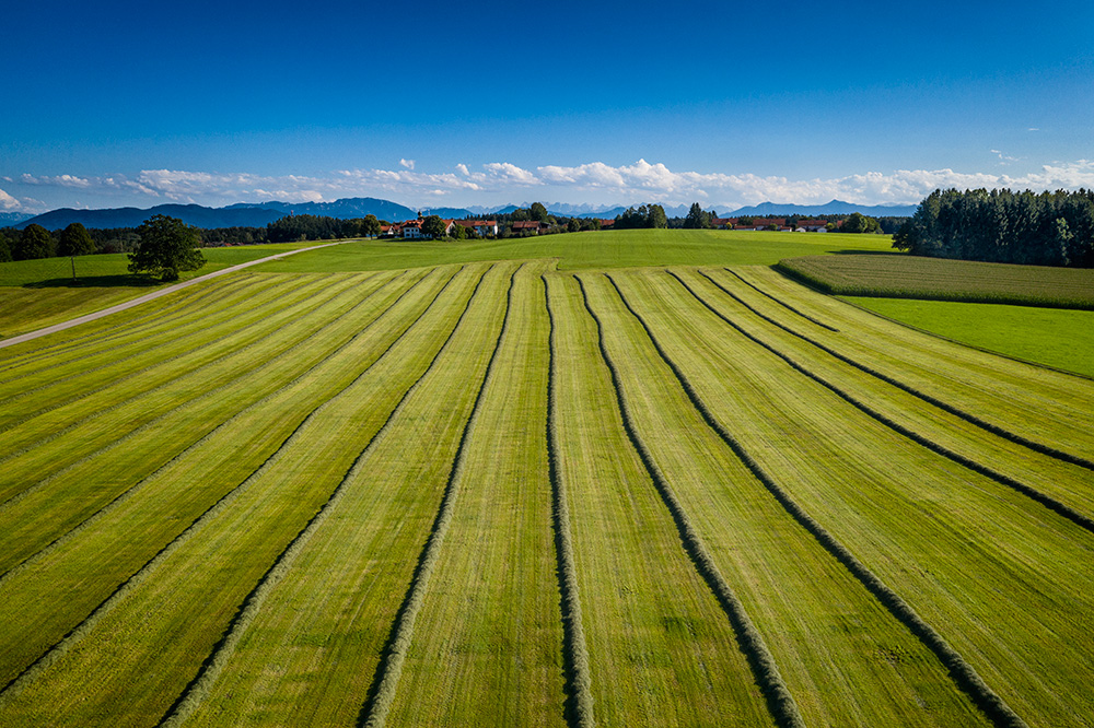 Oberbayrische Sommerwettkämpfe