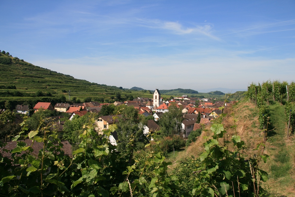 Oberbergen im Kaiserstuhl