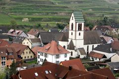 Oberbergen, Kaiserstuhl, Reblandschaft, Smaragdeidechsen Weg .....