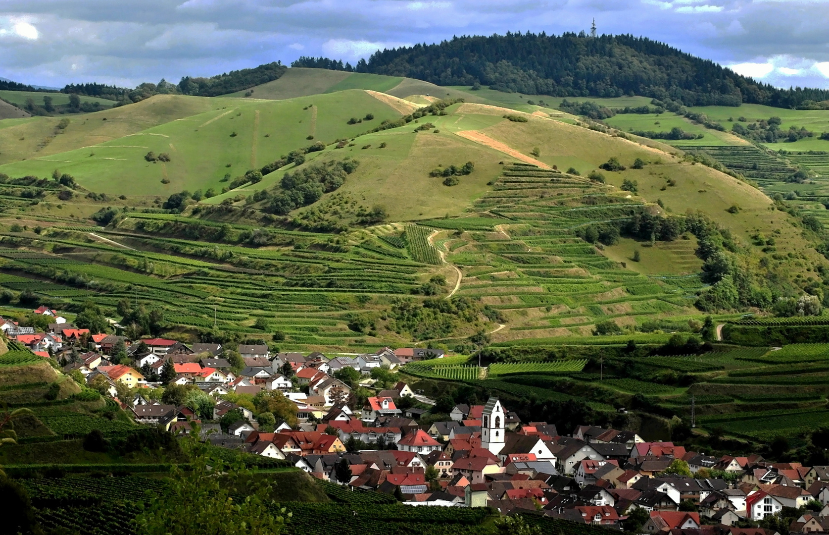 Oberbergen ~ Sommer - Panorama