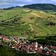 Am Kaiserstuhl