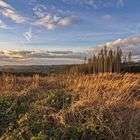 Oberbergische Landschaft II