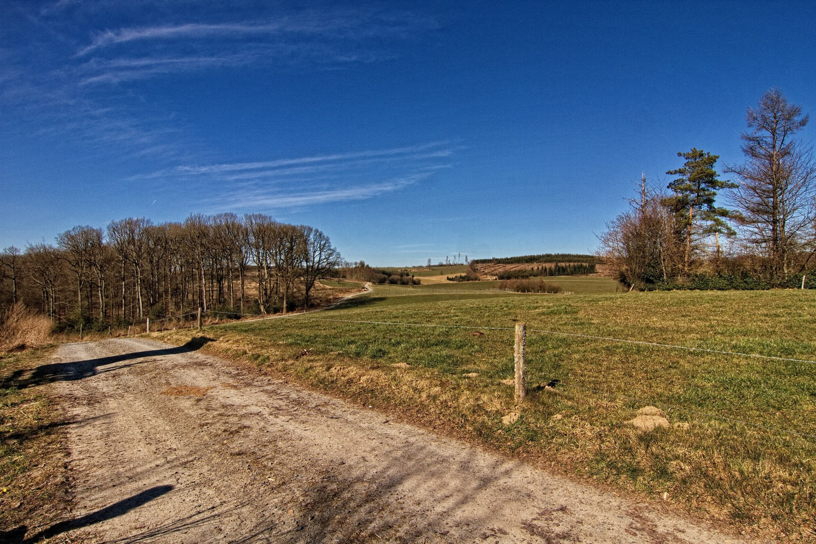 Oberbergische Landschaft IV