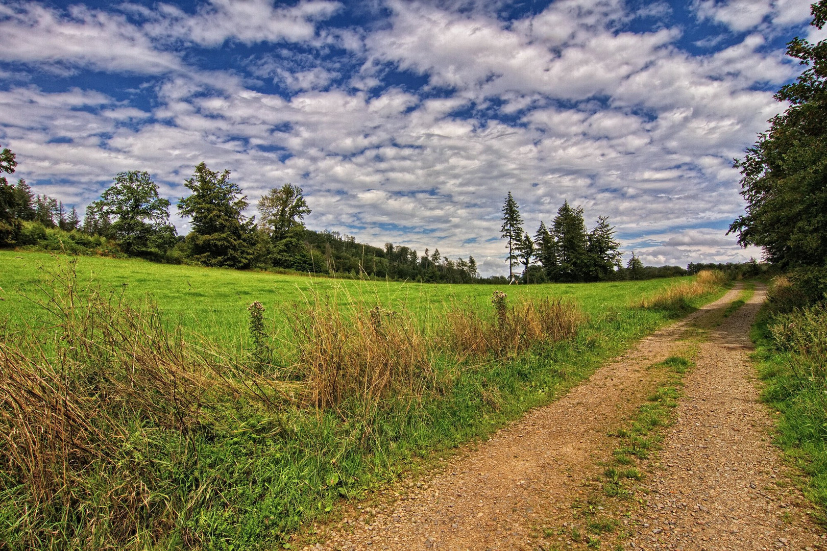 Oberbergische Wege 02