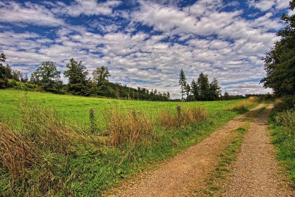 Oberbergische Wege 02