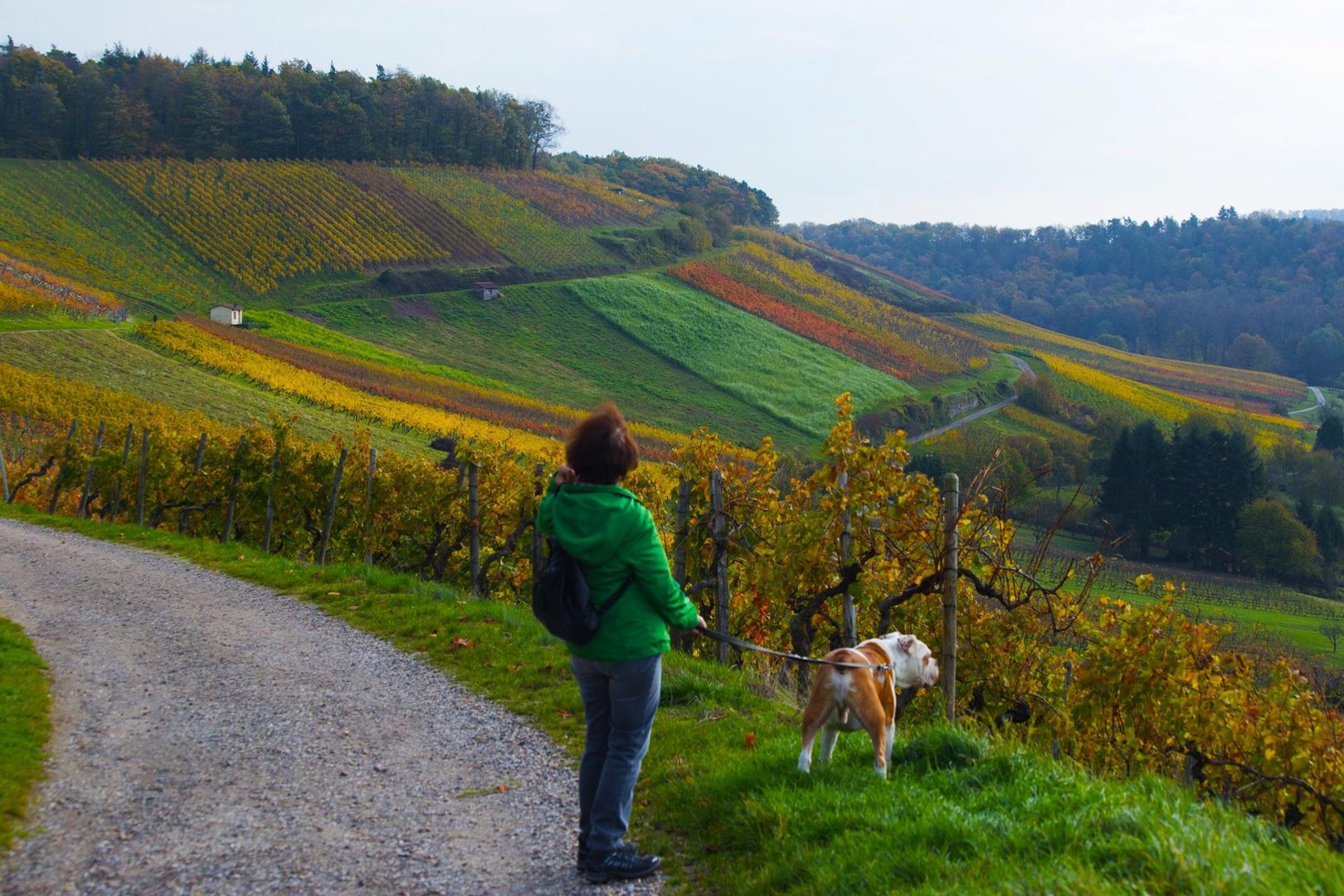 Oberderdingen, Horn im Herbst