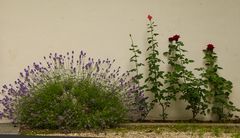 Oberdieckgarten Freising
