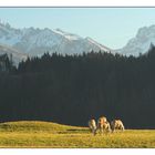 Oberdorf - Oberallgäu