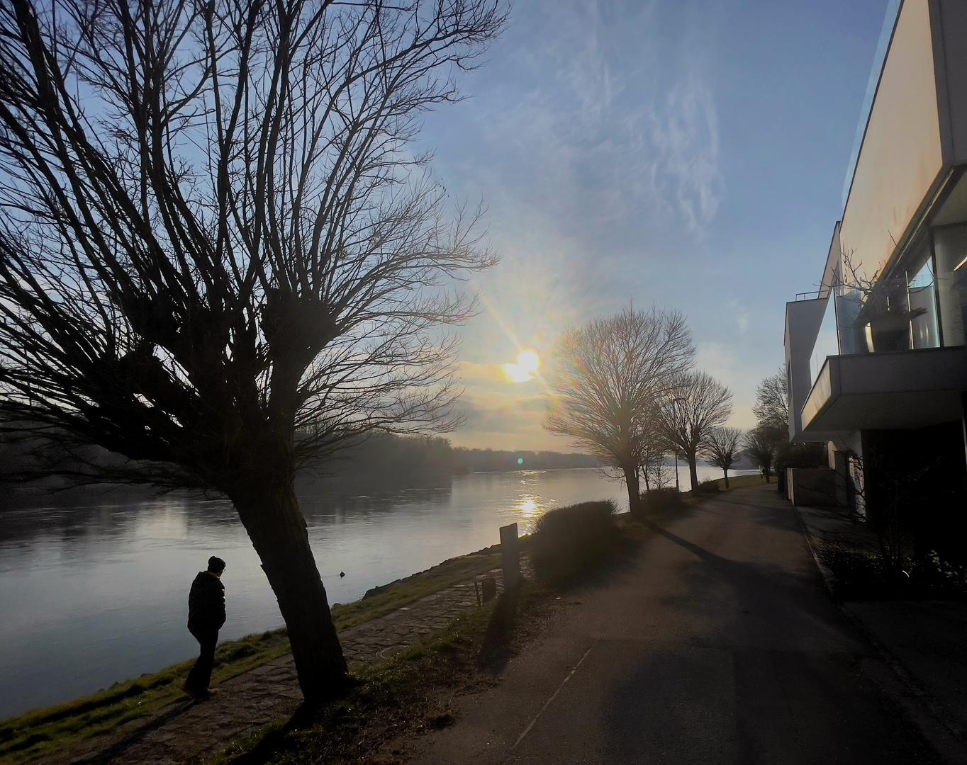 obere Donaulände in Ottensheim an der Donau