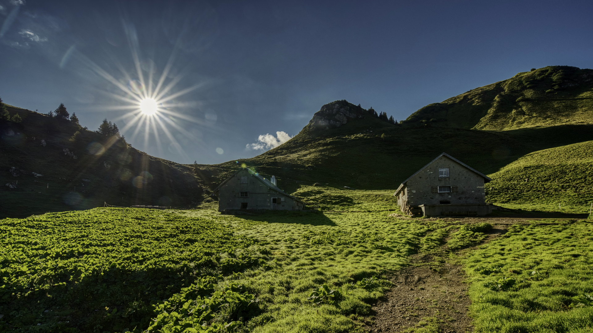 Obere Fronalp