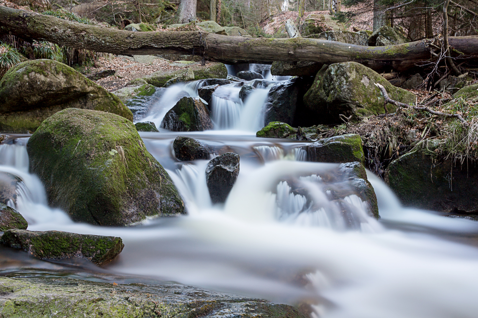 Obere Ilsefälle im Harz