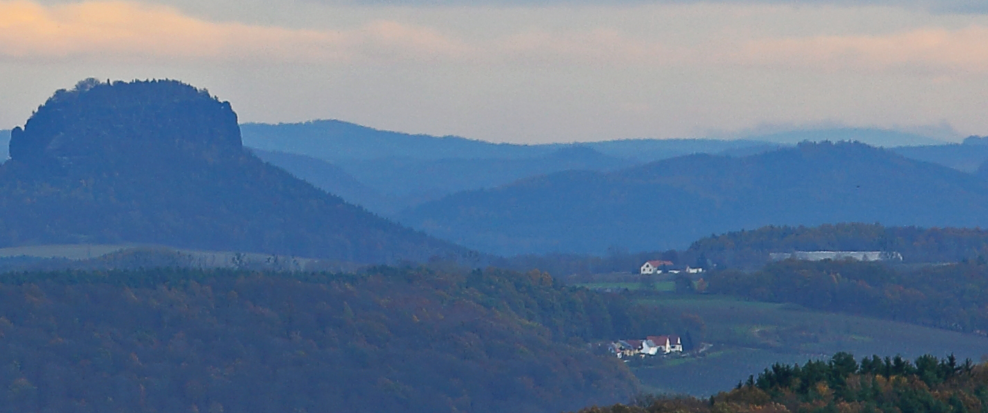 Obere Kannte Tafelfichte in Ausschnittsvergrößerung und auch noch mit Wolken