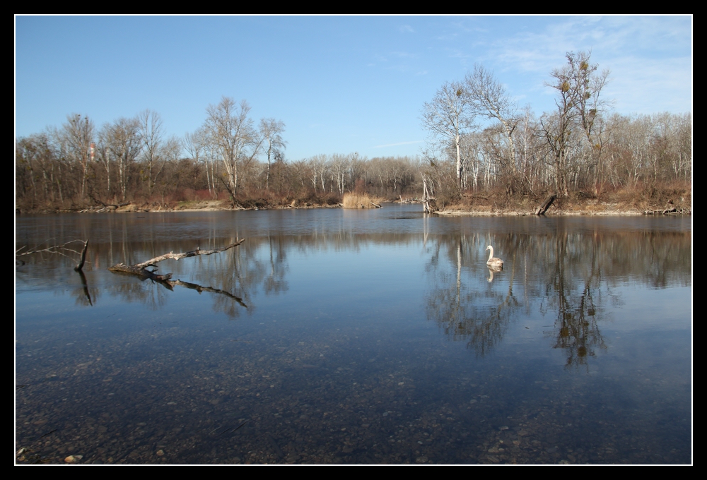 Obere Lobau | Dechantlacke