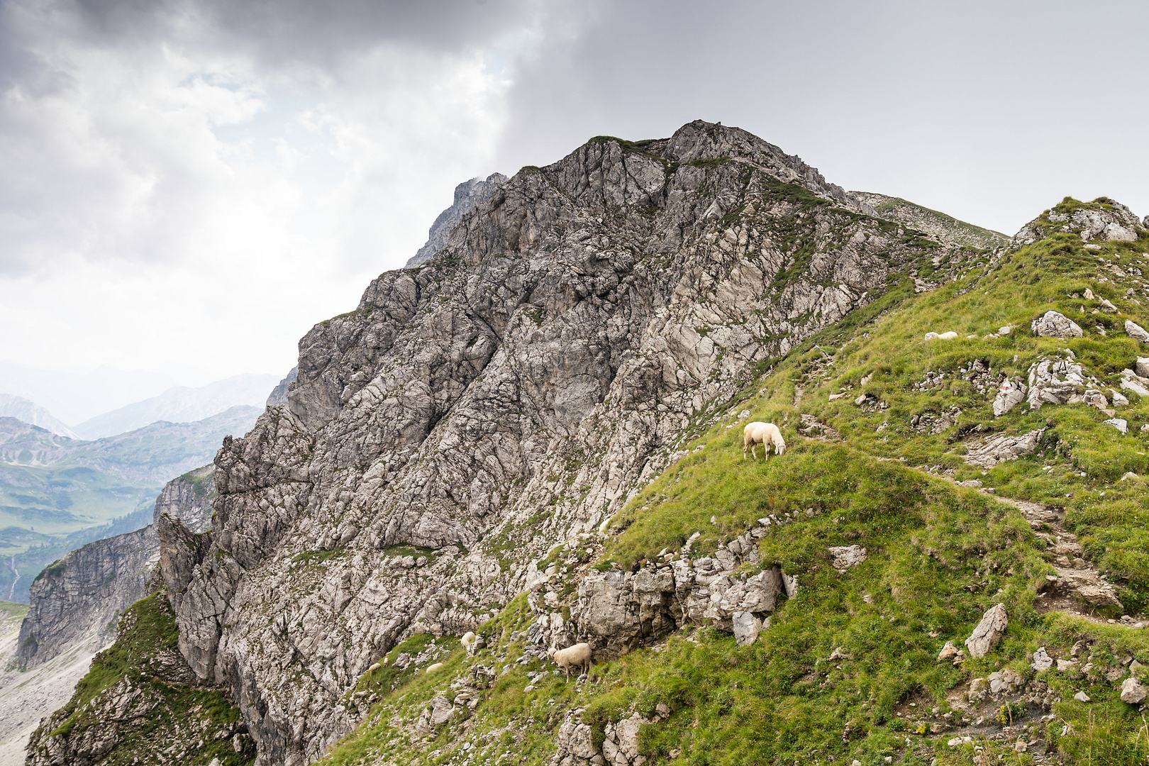 Obere Schafwanne | Jubiläumsweg | Allgäuer Alpen