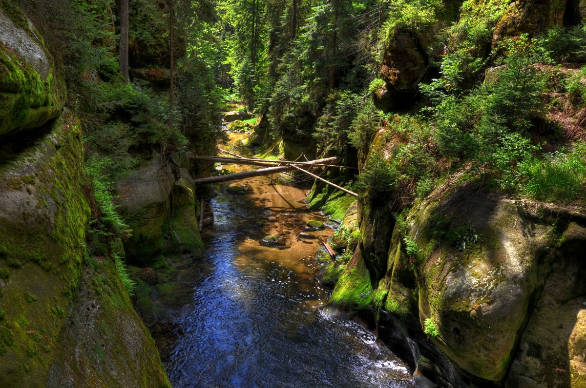 Obere Schleuse ( Elbsandsteingebirge) HDR